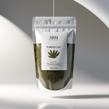 Plantain leaf herb
