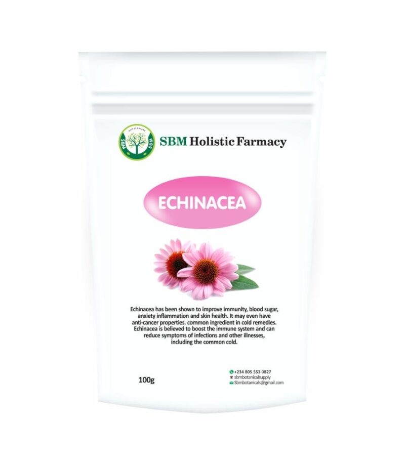 Echinacea