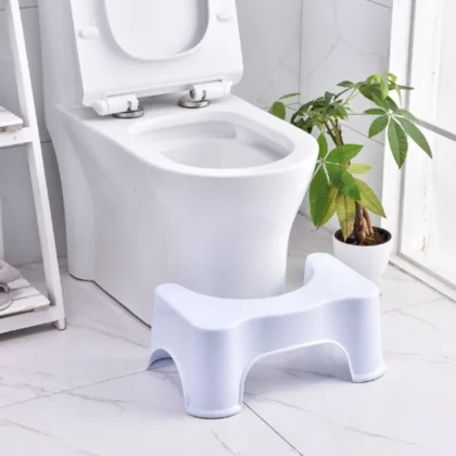 Toilet stool