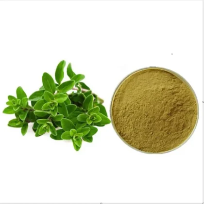 Oregano tea / spice