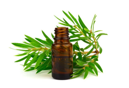 Tea tree Essential oil (50ML)