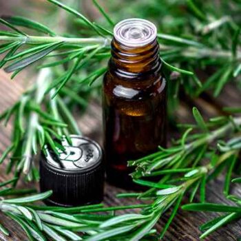 Rosemary Essential Oil